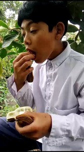 buah salju bedugul bali