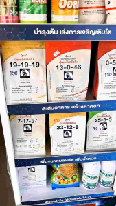 ปุ๋ย ปุ๋ยเกล็ด เรือใบ ปุ๋ยเกล็ด ปุ๋ยเร่งโต เร่งผล เร่งดอก บำรุง ต้น ใบ ดอก ผล