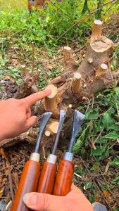 Đục cây bon sai làm bằng nhíp ô tô rất sắc chống rỉ