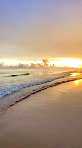 BrngBrng คละผ้า สามารถเลือก งานป้ายหรืองานสกรีนได้