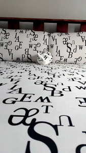 SUPER QUALITY No lukot bedsheet free pouch free 2 pillow case