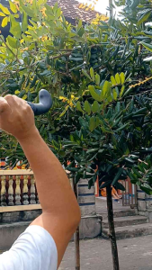 PARANG PANJANG KERJA 75 CM BUGISAN