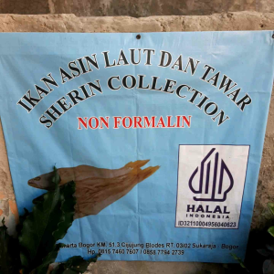 ikan asin laut dan tawar