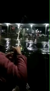 Umpan Mede Putra Aroma Original: Umpan Ikan Air Tawar Berkualitas