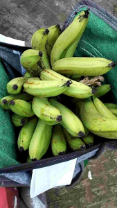 pisang Ambon 1 kg 6000