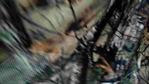 Jaring Desain Camo: Perlindungan & Samaran di Luar Ruangan