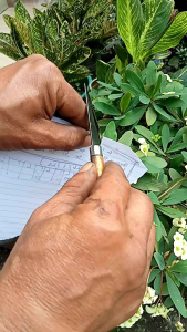 Pisau Serut Mini Multifungsi super tajam