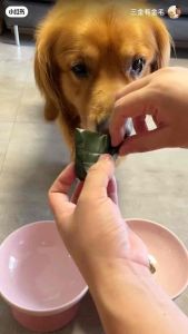 <Ready Stock>PET Dumpling 宠物粽子/cat Dumpling/dag Dumpling/猫粽子/狗粽子