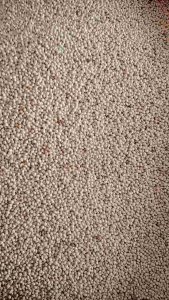 Miltih milet putih pakan burung Lovebird/parkit dllkemasan perpack 1kg