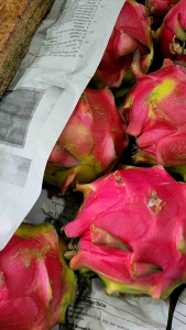 Buah Naga Merah 1kg: Segar, Manis & Sehat