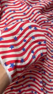 VẢI THÔ/KATE BOI SAO XANH SỌC ĐỎ MỀM MÁT