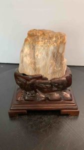 TSK Crystal SHY048 天然树化玉 黄里透白 色泽圆润 特制雕刻实木底座 Natural Tree Fossil Jade