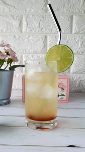 OSK New Family Japanese Green Tea