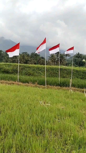 BENDERA INDONESIA BENDERA MERAH PUTIH 17AGUSTUS