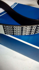 Fan Belt Ford Fiesta All Type Original 1400 1500 1600 CC Vanbelt