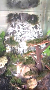 Rangkain Pipa Air Terjun Pasir Silika Full Set Plus Filter Undergravel tanpa mesin untuk aquarium 20-40