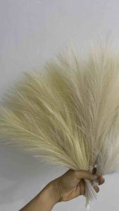 Daun bulu pampas rayung dekorasi wedding dried import rustic hiasan meja