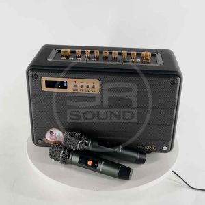 W-KING K5 Bluetooth Speaker ลำโพงบลูทูธ 100W พร้อม ไมค์ลอย ไร้สาย 2ตัว ลำโพง คาราโอเกะ WKING K5