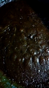 sambal petai tempoyak bilis