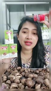 MAJAKANI MPOT MOMOIDEA ORIGINAL