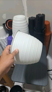 Grosir 1 Lusin Pot Tawon Ukuran 25 / Pot tanaman / Pot Bunga / Pot Plastik / Pot kembang