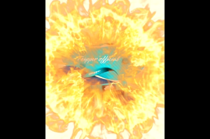 Sandal Jepit Feipper Kids Size 31-35: Pilihan Terbaik Untuk Aktivitas Anak