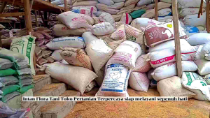 Intan Flora Tani-Media tanam andam satu sak sudah fermentasi siap pakai (3kg)
