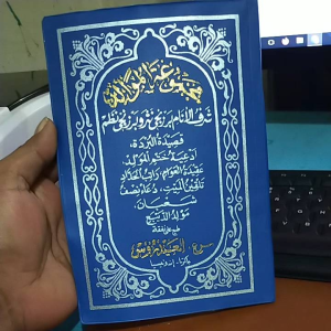 AL BERJANJI SOFCOVER KALEP