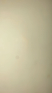 BOSH ARM BOSH FORK BOSH GARPU YAMAHA VIXION - KUALITAS TERJAMIN HARGA TERJANGKAU