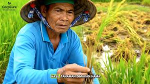 CORPCURE PUPUK LENGKAP NUTRISI PERTUMBUHAN PERLINDUNGAN TANAMAN BEBAS HAMA DAN GULMA