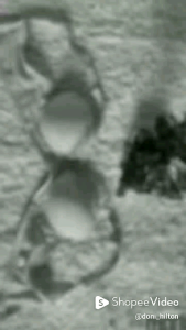 Bra Busa Renda Tanpa Kawat Premium