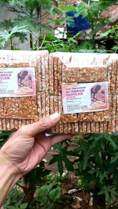 1kg Ting Ting Kacang  Noga kacang Kue Jadul Isi Kurleb 85keping