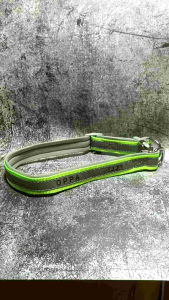 [Can Engrave Pets Name] High Quality Double Ring Secure Reflective Dog Collar Padded Nylon Neoprene Pet Puppy Tag Collar