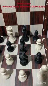 Chessmate • World Championship Weighted Plastic Chess Set (Pieces only)