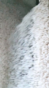 Beras Ketan Putih: Bahan Makanan Sehat & Variasi Penggunaannya