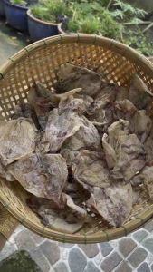 KHÔ MỰC ĐỒNG TIỀN NHỎ - KHÔ MỰC súp 300gr (210-220con /kg) nấu nước lèo rim mắm tỏi nấu mì rất ngon ngọt