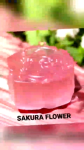 21 VARIETY ORGANIC HOMEMADE SOAP (1G 8G AND 50G)