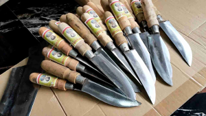 Pisau Dapur Pisau Kupas Bawang