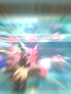 Kabinet Aquarium full set