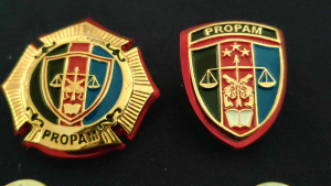 Pin Propam Roda Propam