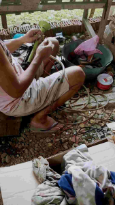 Klakson 12/24 Volt: Klakson Berkualitas Tinggi & Tahan Lama