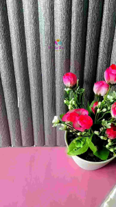 Buku Aku Siap Masuk TK - UK Besar (GOS)