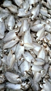 Ikan Asin Sepat Rawa/Sepat Padi/Sepat kecil Super