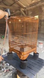 sangkar burung murai batu sangkar murai no 1 sangkar murai murah sangkar burung kayu sangkar burung ebod sangkar burung mentahan 1 set sangkar burung lovebird murah sangkar murai radja sangkar ebod jaya sangkar murai no 2 bekas murah sangkar no 3