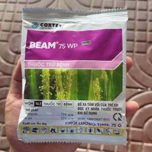 Thuốc trị đạo ôn lúa BEAM 75WP
