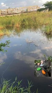 กบยางเขียดจิ๋วหลากสี 3เซนติเมตร 6กรัม