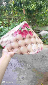 Áo nón lá mũ ( giao bông ngẫu nhiên)