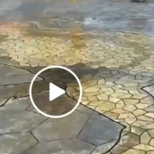 Rectangular Flagstone Concrete stamping mold Anti skid Stampcrete Resuable mold 10000X Size 60x60x2cm