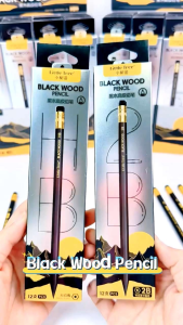 Little Tree Premium Black Wood 2B Pencil 12pcs/pack for Exam Primary College School Student Office