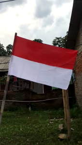 Bendera Merah Putih Ukuran 80x50: Panduan Lengkap